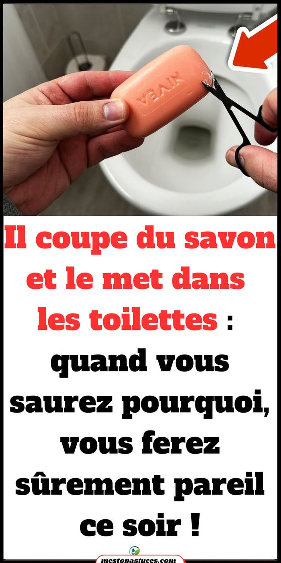 Bloc parfumé DIY pour toilettes